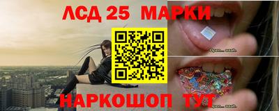 индика Гусев