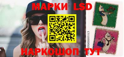 индика Гусев