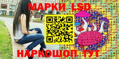 индика Гусев
