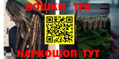 индика Гусев