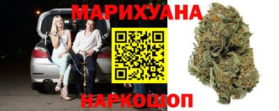 индика Гусев