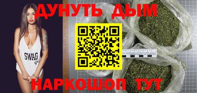 индика Гусев
