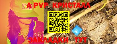 индика Гусев