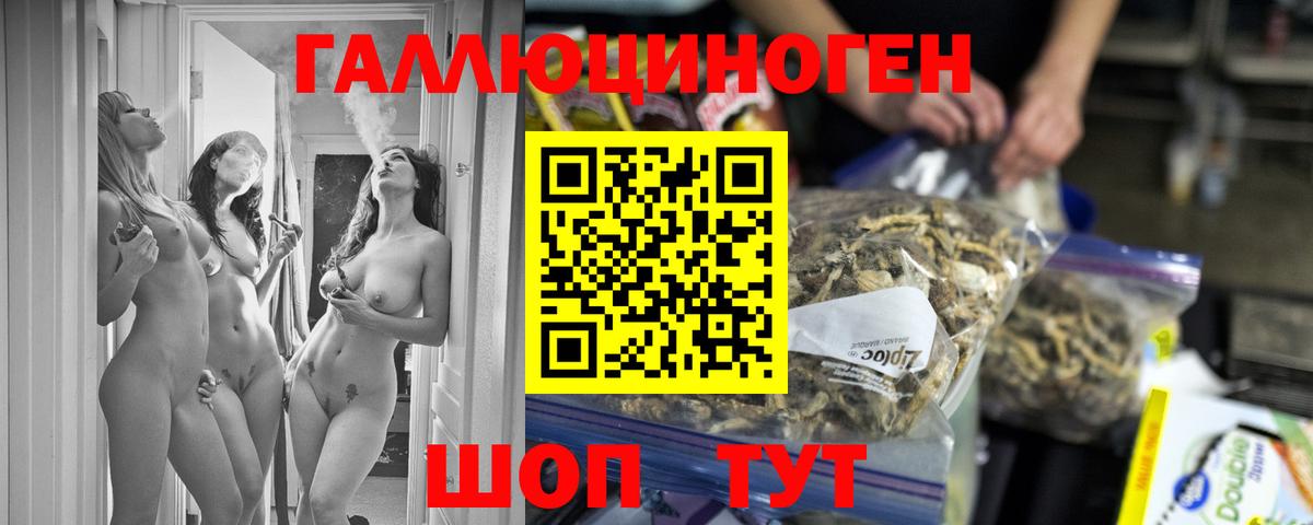 Галлюциногенные грибы Cubensis  наркошоп  Малоярославец  Псилоцибиновые грибы MAGIC MUSHROOMS  Вход с VPN 